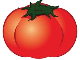 Tomato 5