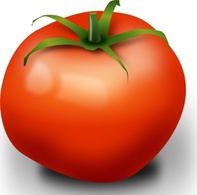 Food - Tomato clip art 