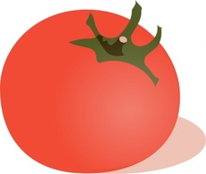 Food - Tomato clip art 