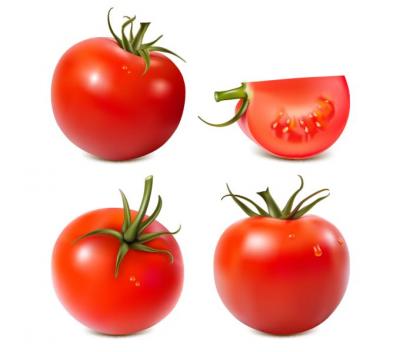 Tomato Vector Preview