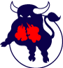 Toronto Toros Vector Logo Preview