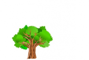 Flowers & Trees - Tree clip art 