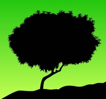 Tree Silhouette Vector