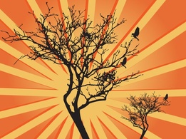 Nature - Tree Sunburst Graphics 