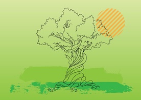 Tree Vector Illustration