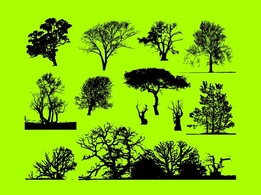 Nature - Trees Graphics 