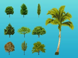 Elements - Trees Illustrations 