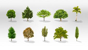 Nature - Trees Vector Collection Pack 