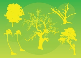 Nature - Trees Vector Graphics 