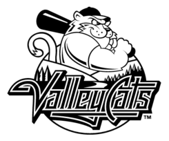 Tri City Valleycats