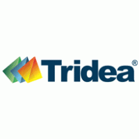 Tridea Consulting