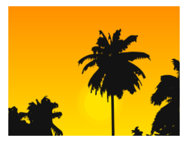 Tropic Sunset