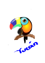 Tucan Colombiano