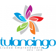 Government - Tulancingo 2012-2016 