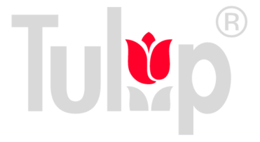 Tulip