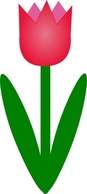 Tulip clip art