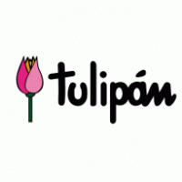 Tulipan