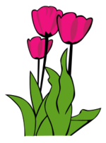 Flowers & Trees - Tulips 