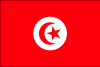 Tunisia Vector Flag Preview