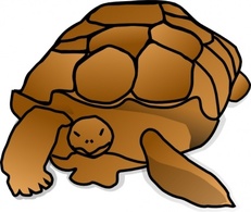 Turtle_01 clip art