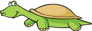 Turtle 10