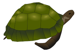 Turtle