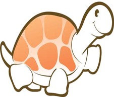 Turtle 6