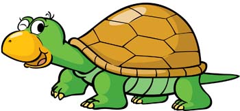 Turtle 9