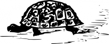 Animals - Turtle clip art 