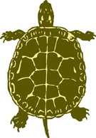 Turtle clip art 