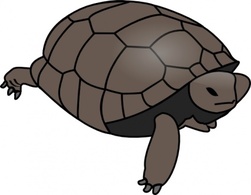 Turtle clip art