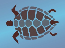 Turtle Graphics