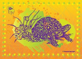 Animals - Turtle Vector Art 