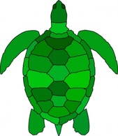 Turtle Water Green Ocean Animal Reptile Seaturtle Schildkroete 