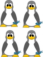 Tux Penguin Computer Linux Icons Lukasz Iwaszkiewicz