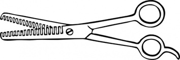 Two Blade Thinning Shears clip art Preview