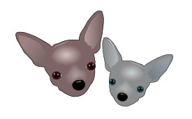 Two Chihuahuas Preview