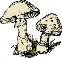 Two Mushrooms clip art Preview