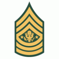 Government - U. S. Army Enlisted Rank Insignia 