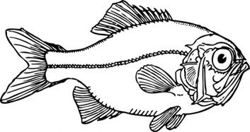 Animals - Ugly Fish clip art 