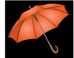 Umbrella Vector Image 