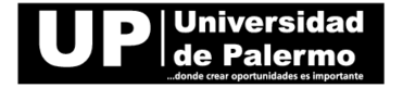 Universidad De Palermo Preview