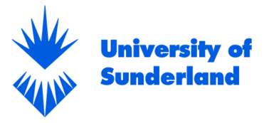 University Of Sunderland