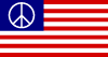 Us Peace Vector Flag 