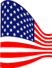 Usa Flag 