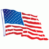 Government - USA Flying Flag 