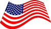 Usa Vector Flag