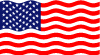 Usa Vector Flag 