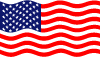 Usa Vector Flag 