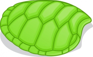 Cartoon - Valessiobrito Hoof Of Green Turtle clip art 